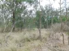 00 George Street, Nanango, Qld 4615-Image