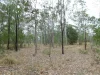 00 George Street, Nanango, Qld 4615-Image