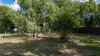 1/12 Ocean Beach Drive, Agnes Water, Qld 4677-Image