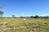1-3 Quartz Place, Berridale, NSW 2628-Image