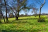 1/68  Coolstore Road, Harcourt, Vic 3453-Image