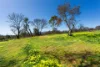 1/68  Coolstore Road, Harcourt, Vic 3453-Image