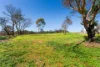 1/68  Coolstore Road, Harcourt, Vic 3453-Image