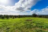 1/89 Wright Street, Elphinstone, Vic 3448-Image