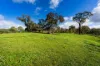 1/89 Wright Street, Elphinstone, Vic 3448-Image