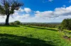 1/89 Wright Street, Elphinstone, Vic 3448-Image