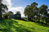 1/89 Wright Street, Elphinstone, Vic 3448-Image