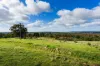1/89 Wright Street, Elphinstone, Vic 3448-Image
