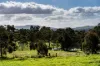 1/89 Wright Street, Elphinstone, Vic 3448-Image