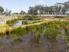 1 Boldiston Crescent, Huntly, Vic 3551-Image