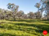 1 Boldiston Crescent, Huntly, Vic 3551-Image