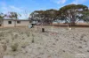 1 Brook Street, Woomelang, Vic 3485-Image