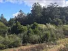 1 Currawong Drive, Gembrook, Vic 3783-Image