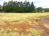 1 Dau Road, Highfields, Qld 4352-Image