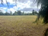 1 Dau Road, Highfields, Qld 4352-Image