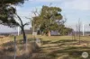 1 Ellis Road, Beaufort, Vic 3373-Image