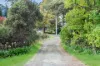 1 Jasmine Street, Colo Vale, NSW 2575-Image