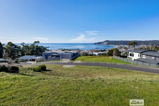 1 Joshua Place, Montello, Tas 7320