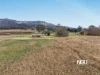 1 Main Camp Creek Road, Thornton, Qld 4341-Image
