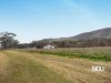 1 Main Camp Creek Road, Thornton, Qld 4341-Image