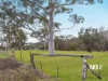 1 Main Camp Creek Road, Thornton, Qld 4341-Image