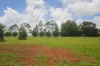 1 Mccowatt Road, Garradunga, Qld 4860-Image
