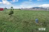 1 Phoenix Cct, Wynyard, Tas 7325-Image