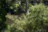 1 Riverdale Crescent, Wynyard, Tas 7325-Image