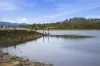 1 Taree Crescent, Gravelly Beach, Tas 7276-Image