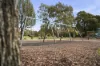 1 Taree Crescent, Gravelly Beach, Tas 7276-Image