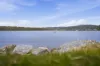 1 Taree Crescent, Gravelly Beach, Tas 7276-Image