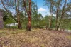 1 The Crest, Hornsby Heights, NSW 2077-Image