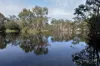 1 Willshire Way, Yangebup, WA 6164-Image