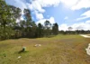 10 Chevonne Place, Apple Tree Creek, Qld 4660-Image