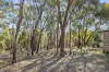 10 Connells Gully Road, Daylesford, Vic 3460-Image