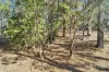 10 Connells Gully Road, Daylesford, Vic 3460-Image