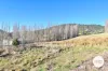 10 Coopers Road, Ellendale, Tas 7140-Image