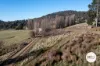 10 Coopers Road, Ellendale, Tas 7140-Image