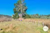 10 Coopers Road, Ellendale, Tas 7140-Image