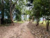 10 Coral Close, Mission Beach, Qld 4852-Image