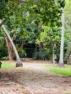 10 Coral Close, Mission Beach, Qld 4852-Image