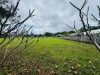 10 Coral Close, Mission Beach, Qld 4852-Image