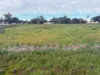 10 Field Street, Mingenew, WA 6522-Image