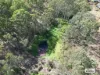 10 Franks Road, Regency Downs, Qld 4341-Image