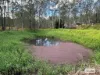 10 Franks Road, Regency Downs, Qld 4341-Image