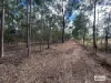 10 Franks Road, Regency Downs, Qld 4341-Image