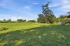 10 Gaudrons Road, Sapphire Beach, NSW 2450-Image