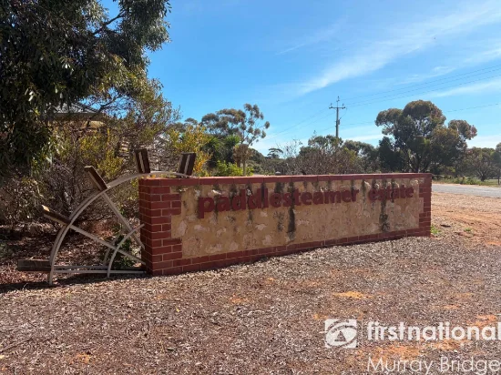 10 Gemini Way, Mannum, SA 5238