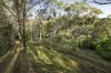 10 Gilmour Court, Harlaxton, Qld 4350-Image