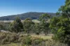 10 Herdwick Place, Marulan, NSW 2579-Image